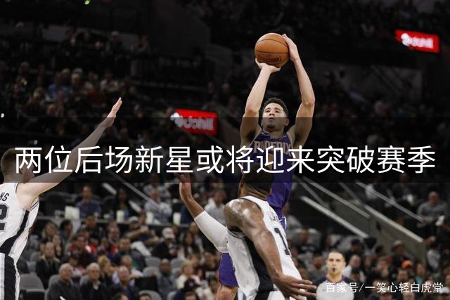 两位后场新星或将迎来突破赛季